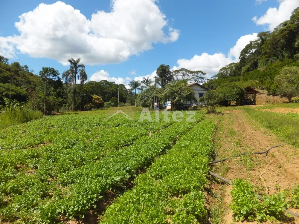 Fazenda, 102 hectares - Foto 46