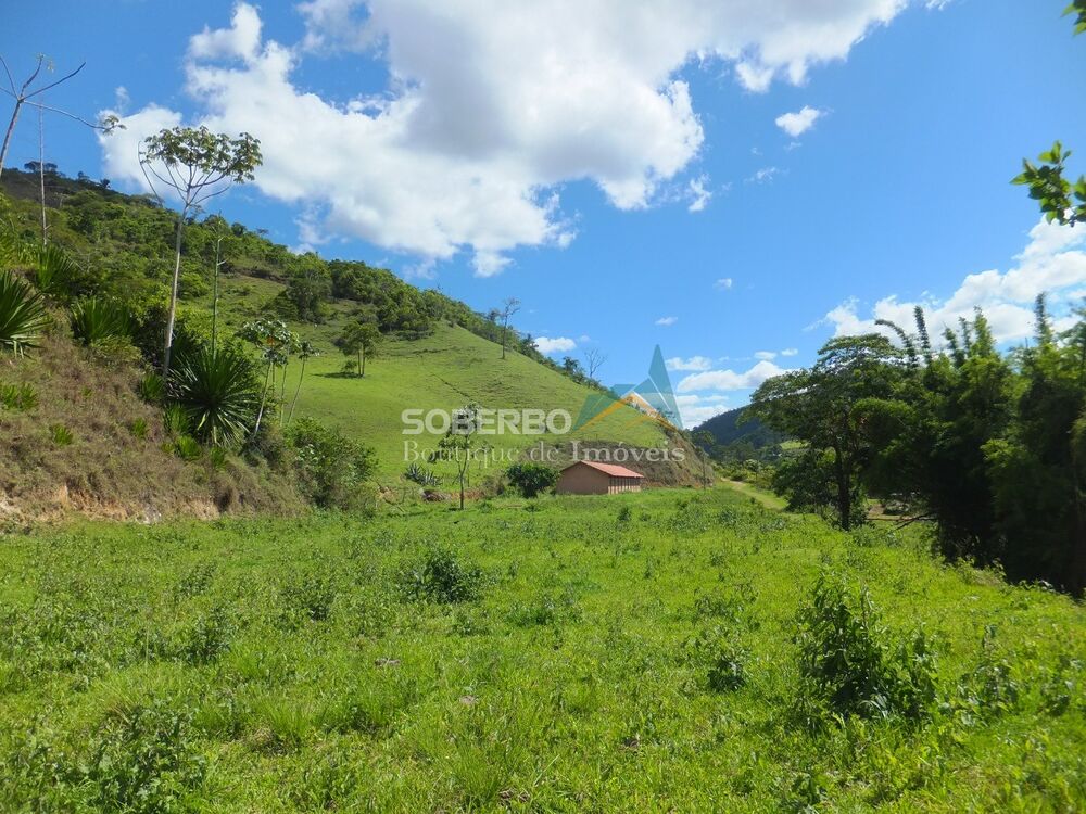 Fazenda, 102 hectares - Foto 3