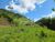Fazenda, 102 hectares - Foto 3