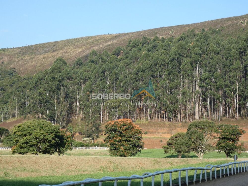 Fazenda, 68 hectares - Foto 6
