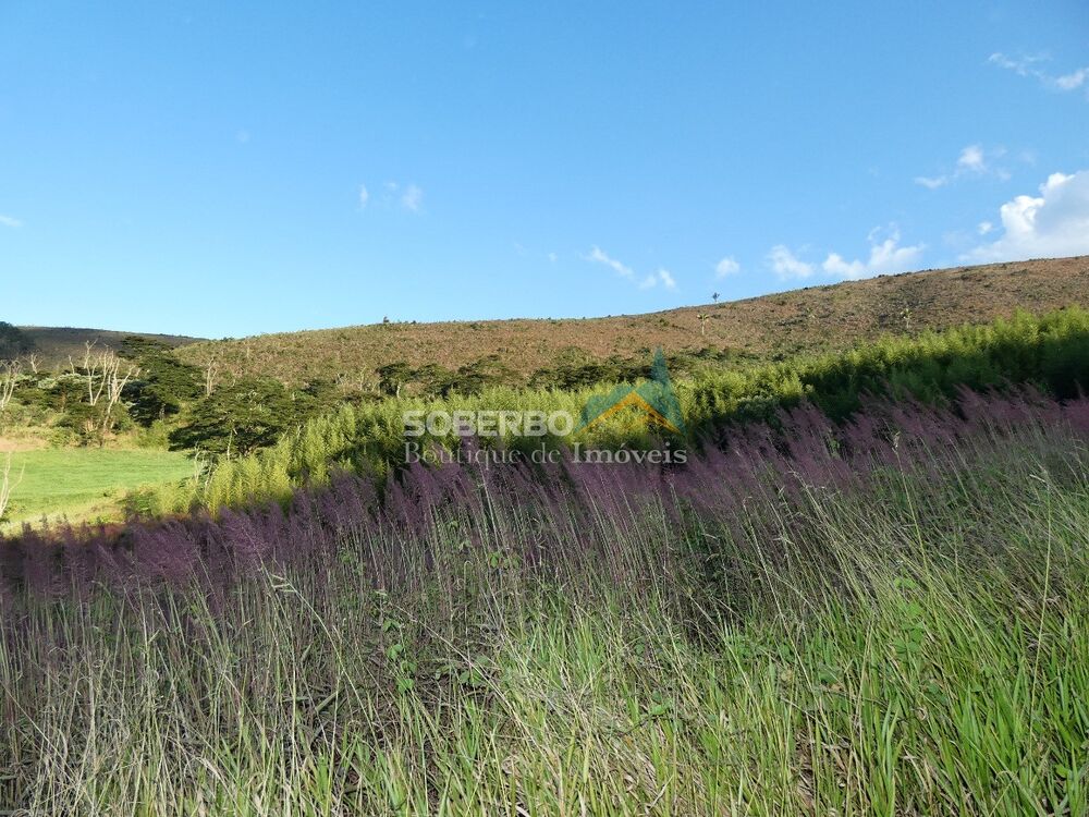Fazenda, 68 hectares - Foto 7
