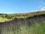Fazenda, 68 hectares - Foto 5