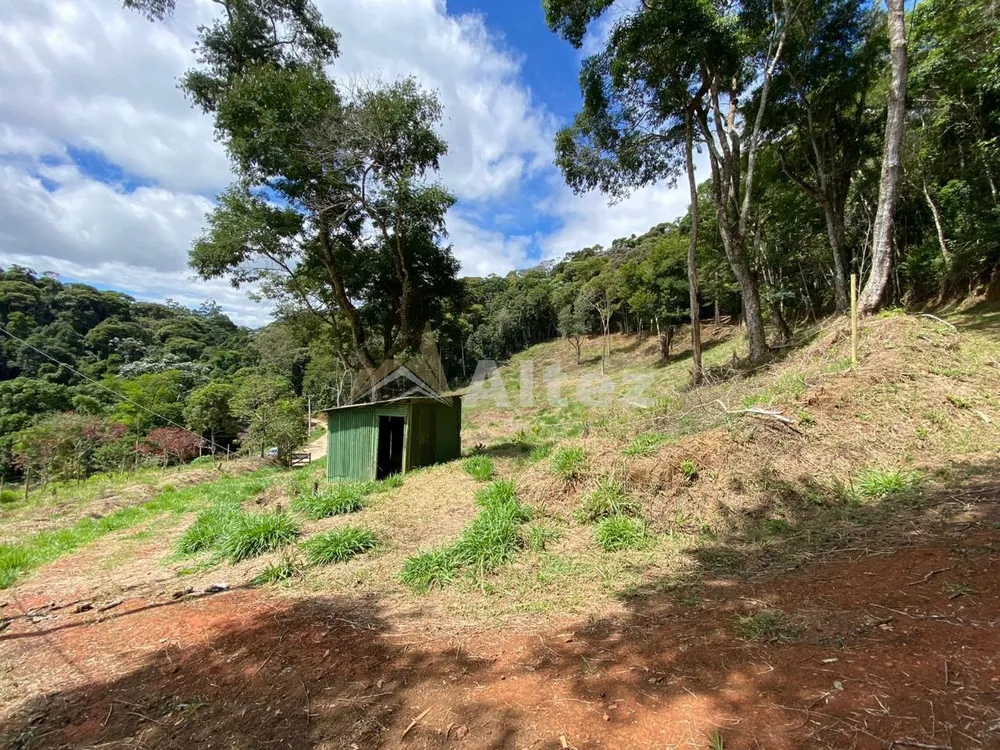 Sítio, 3 quartos, 7 hectares - Foto 21