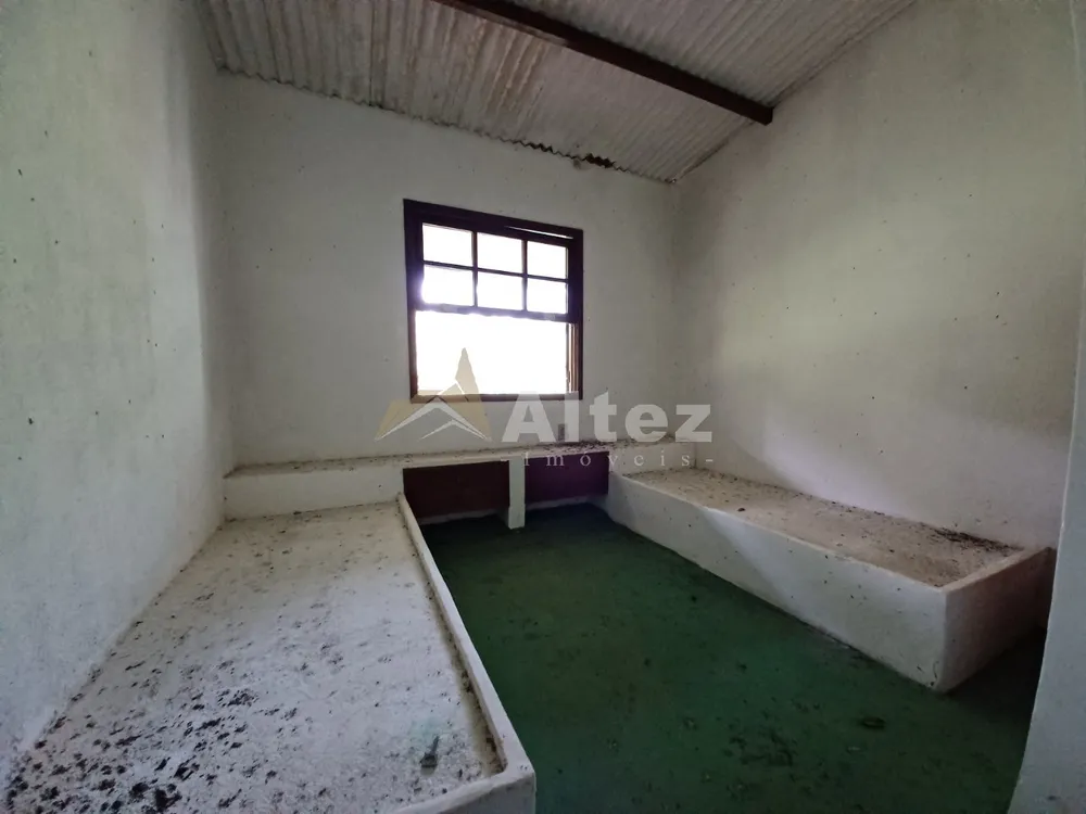 Sítio, 3 quartos, 7 hectares - Foto 39