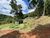 Sítio, 3 quartos, 7 hectares - Foto 4