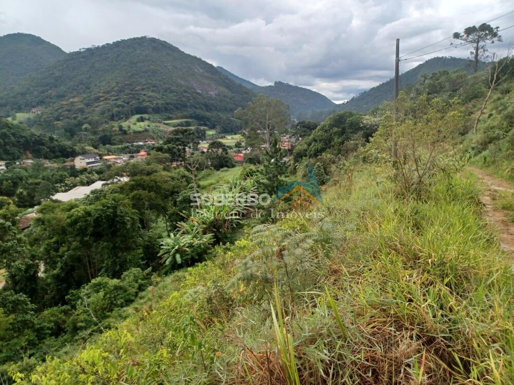 Sítio à venda com 3 quartos, 16000m² - Foto 4