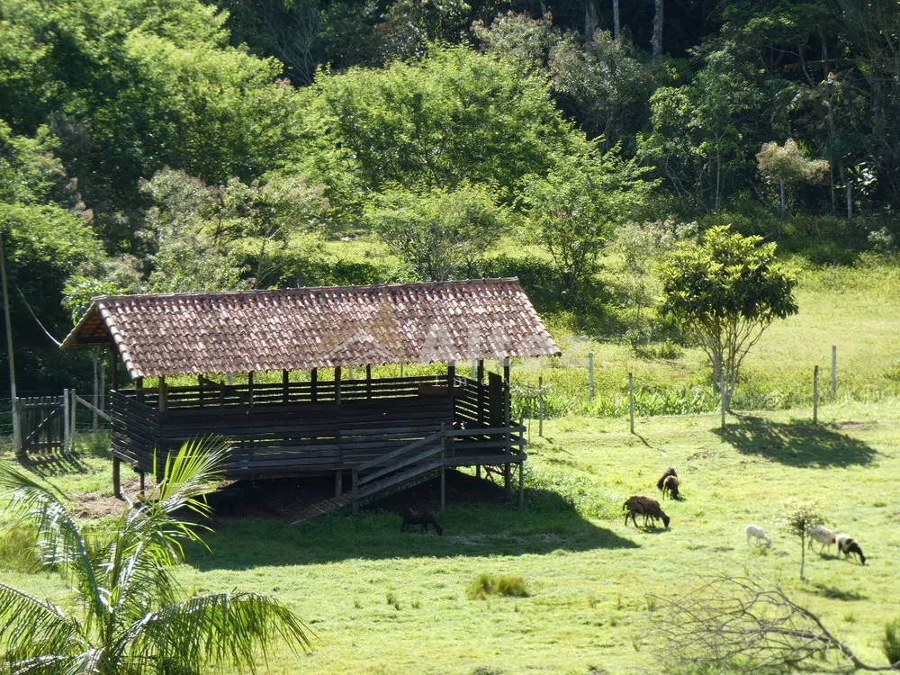 Sítio, 4 quartos, 12 hectares - Foto 60