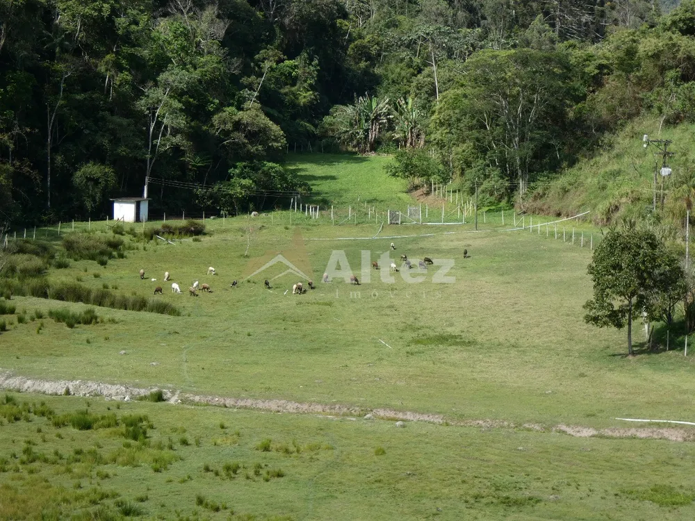 Sítio, 4 quartos, 12 hectares - Foto 19