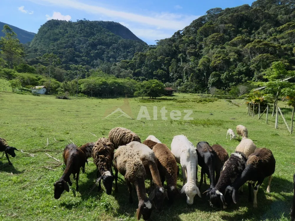 Sítio, 4 quartos, 12 hectares - Foto 41