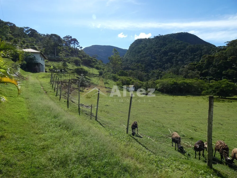 Sítio, 4 quartos, 12 hectares - Foto 40