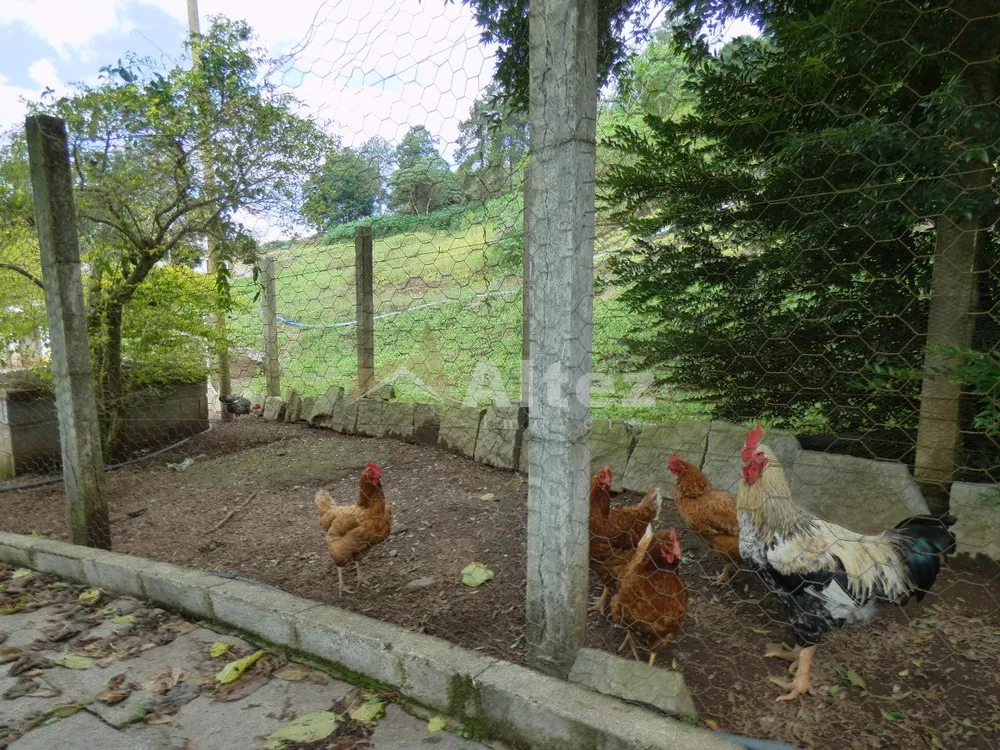 Sítio, 3 quartos, 30 hectares - Foto 80