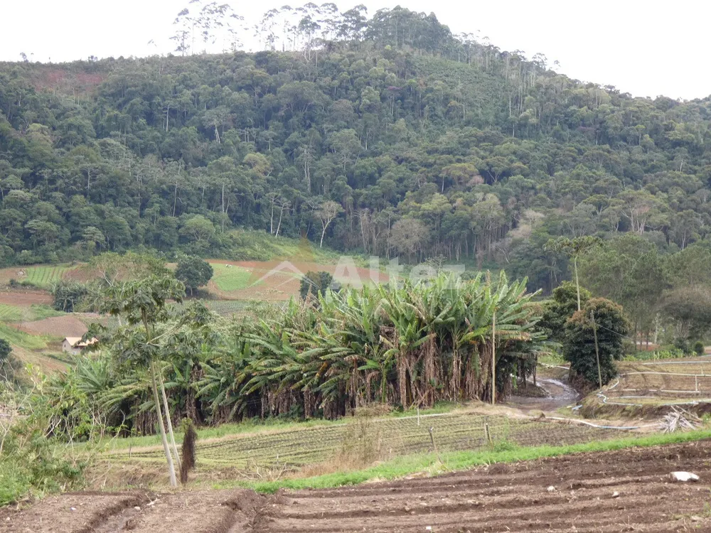 Sítio, 3 quartos, 30 hectares - Foto 46