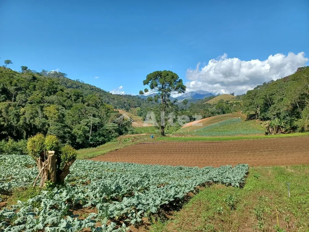 Sítio, 3 quartos, 30 hectares - Foto 103