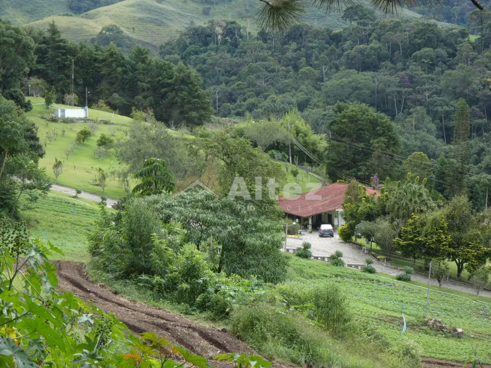 Sítio, 3 quartos, 30 hectares - Foto 101