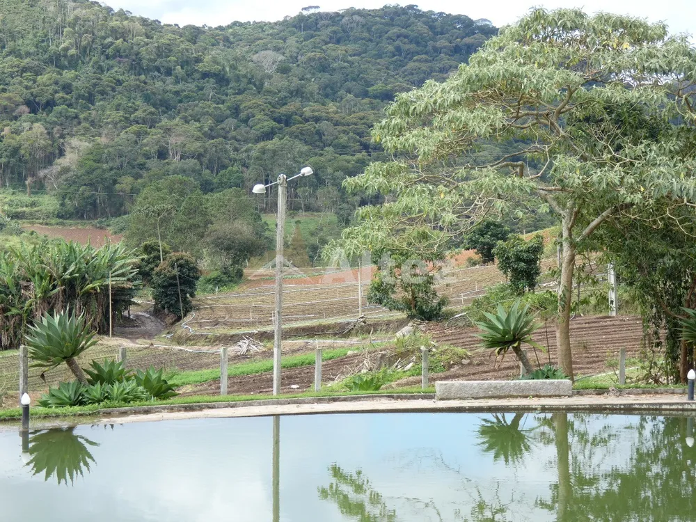 Sítio, 3 quartos, 30 hectares - Foto 76