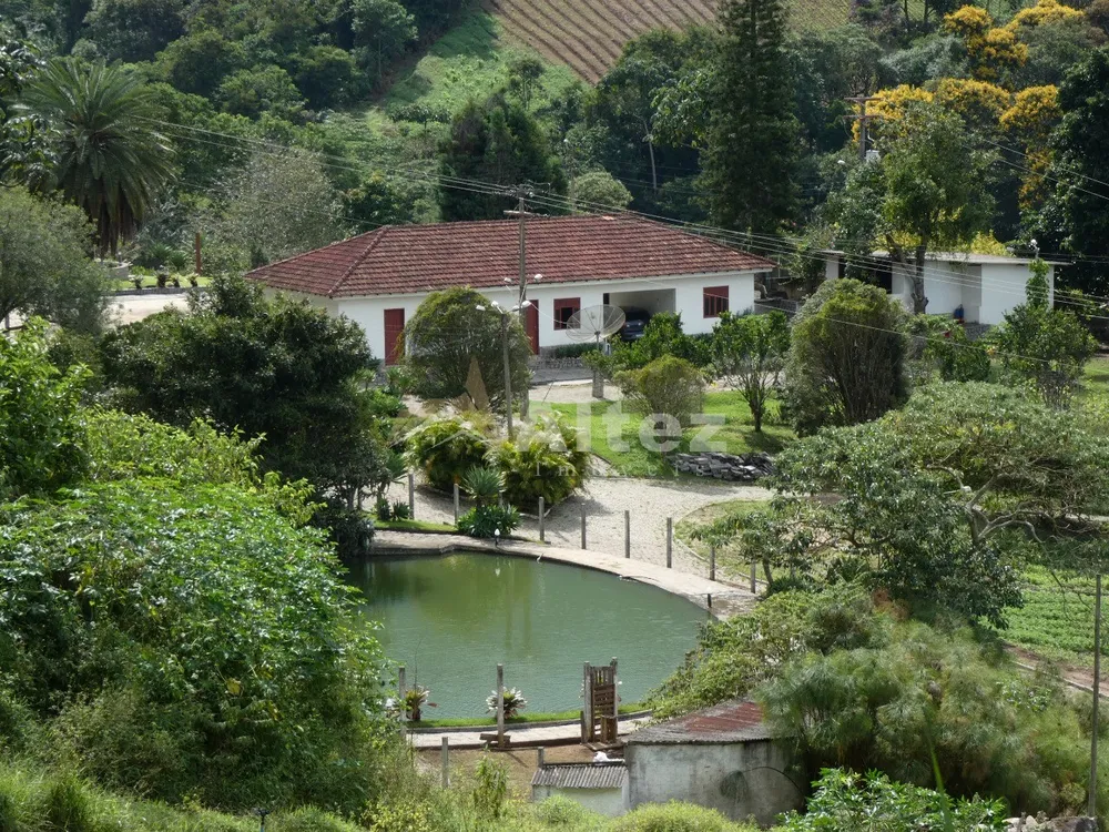 Sítio, 3 quartos, 30 hectares - Foto 95