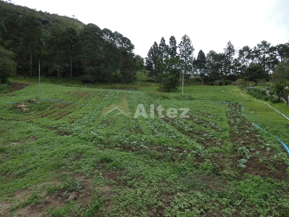 Sítio, 3 quartos, 30 hectares - Foto 35