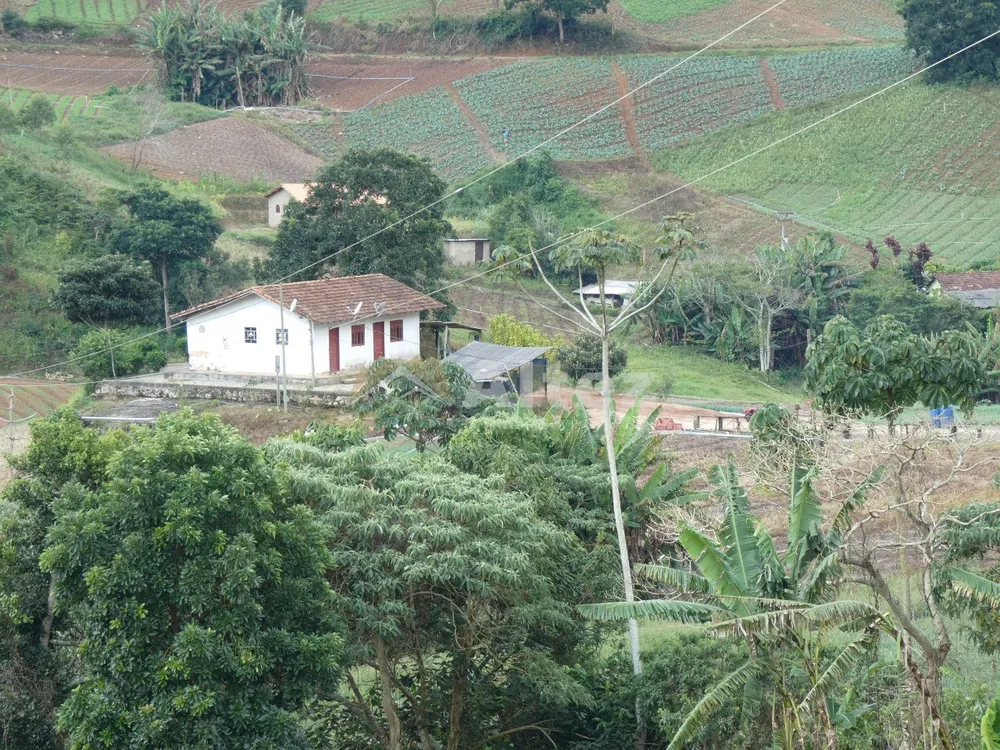 Sítio, 3 quartos, 30 hectares - Foto 89