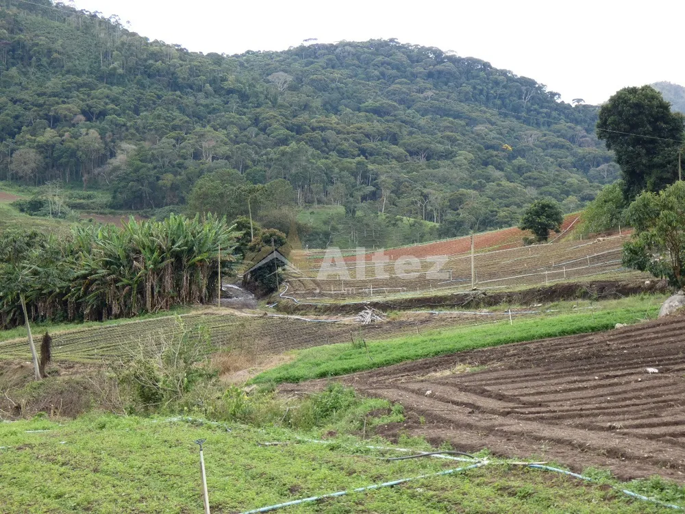 Sítio, 3 quartos, 30 hectares - Foto 40