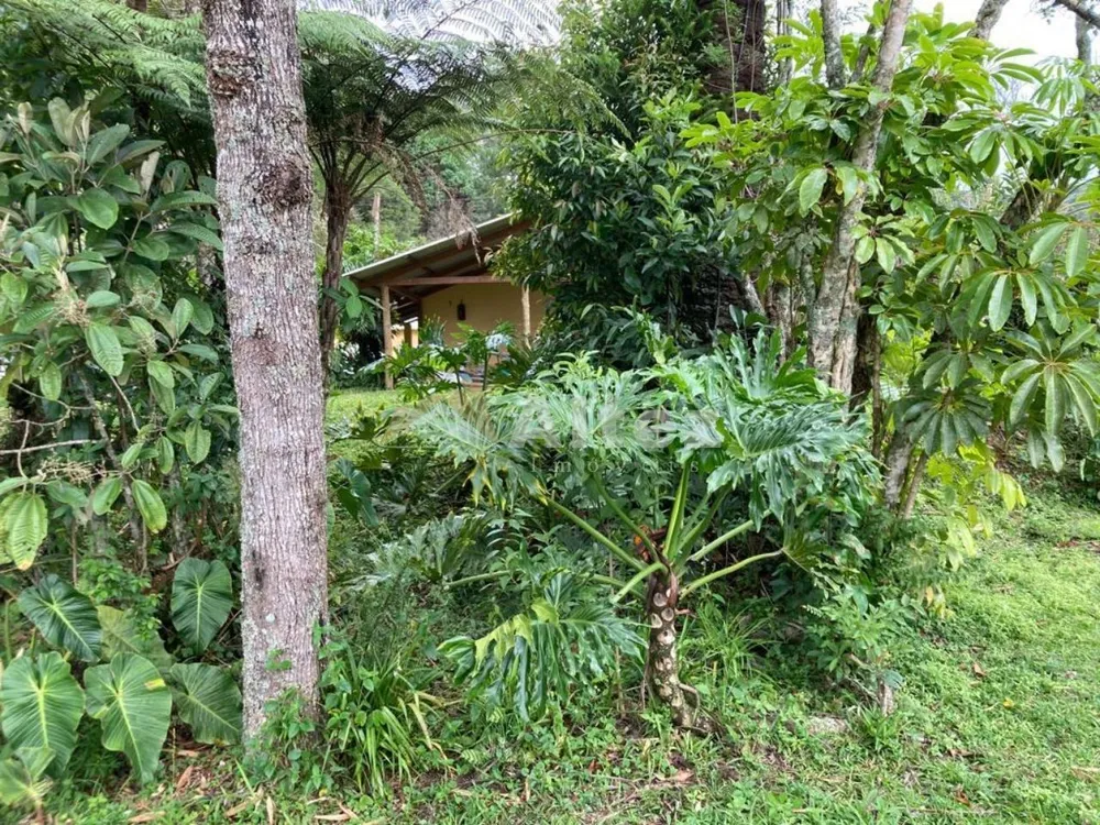 Sítio, 6 quartos, 54 hectares - Foto 18