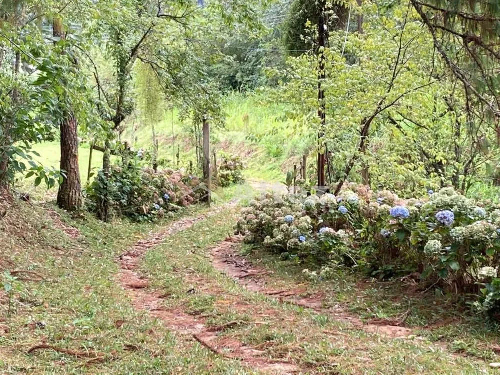 Sítio, 6 quartos, 54 hectares - Foto 37