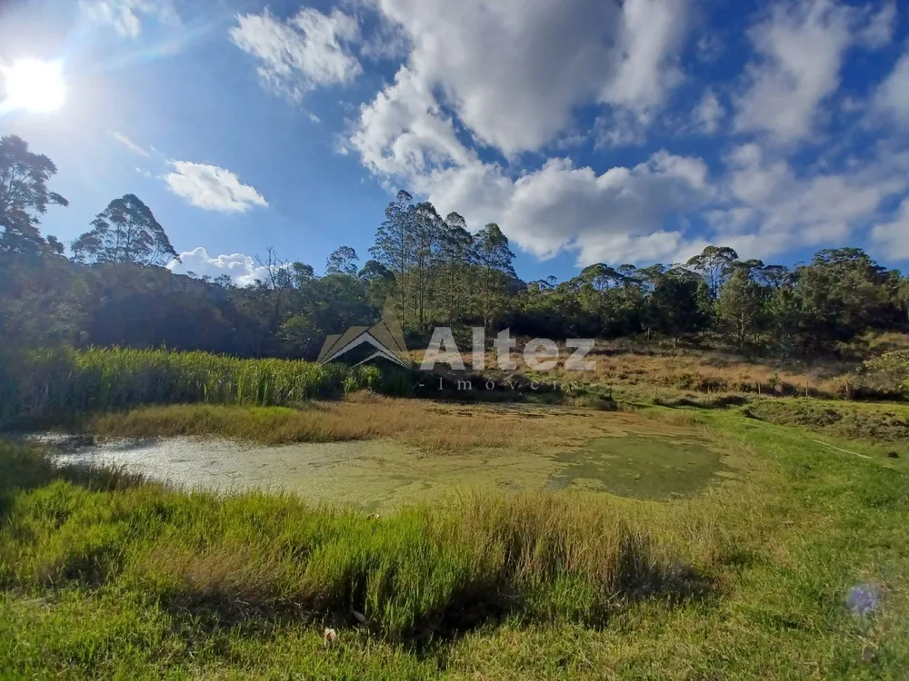 Sítio, 6 quartos, 54 hectares - Foto 42