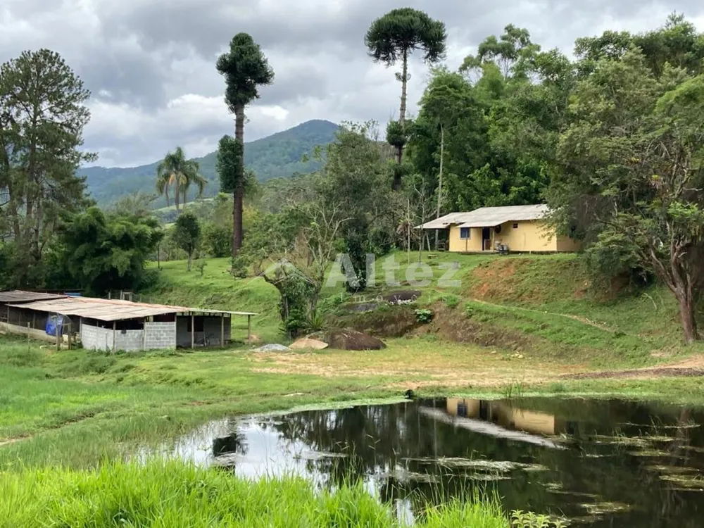 Sítio, 6 quartos, 54 hectares - Foto 1
