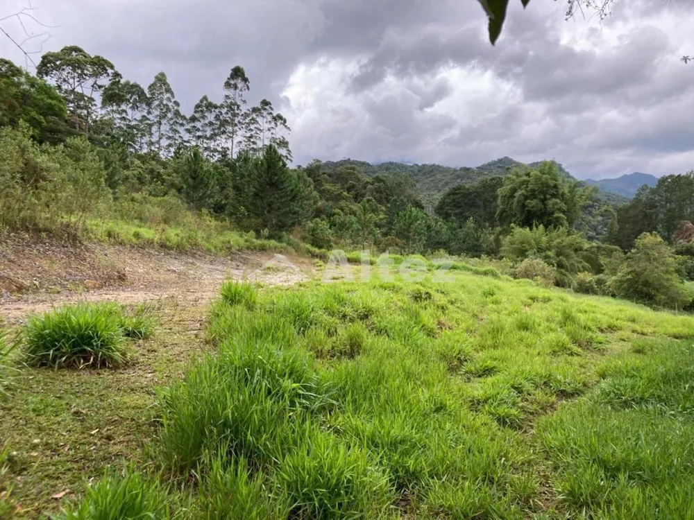 Sítio, 6 quartos, 54 hectares - Foto 16