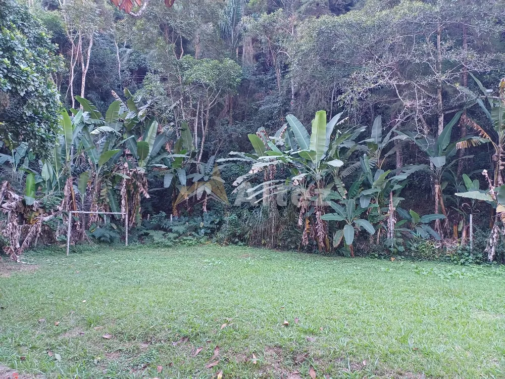 Sítio, 4 quartos, 10000 m² - Foto 55