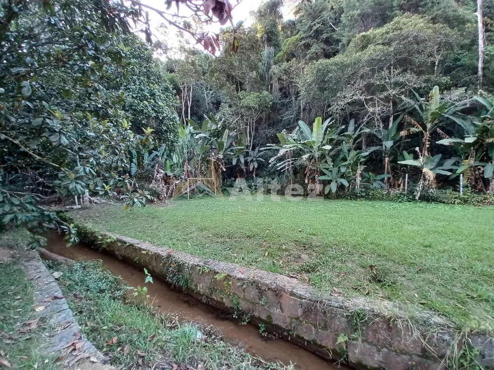 Sítio, 4 quartos, 10000 m² - Foto 56