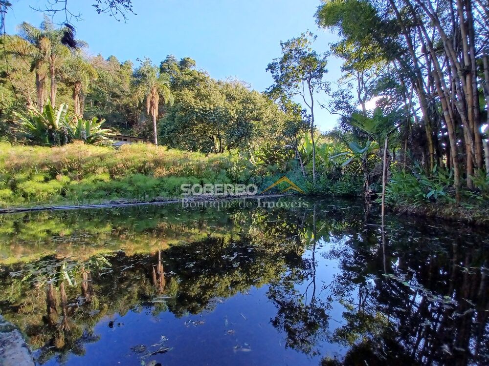 Sítio à venda com 4 quartos, 10000m² - Foto 5