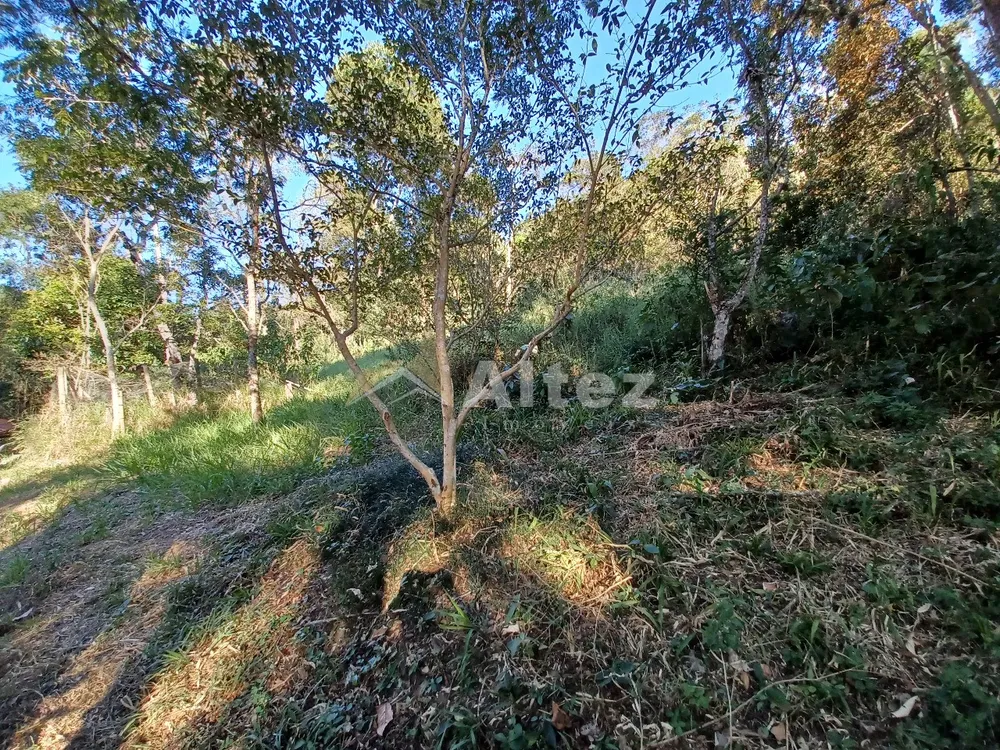 Sítio, 4 quartos, 10000 m² - Foto 37