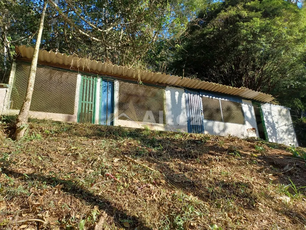 Sítio, 4 quartos, 10000 m² - Foto 38