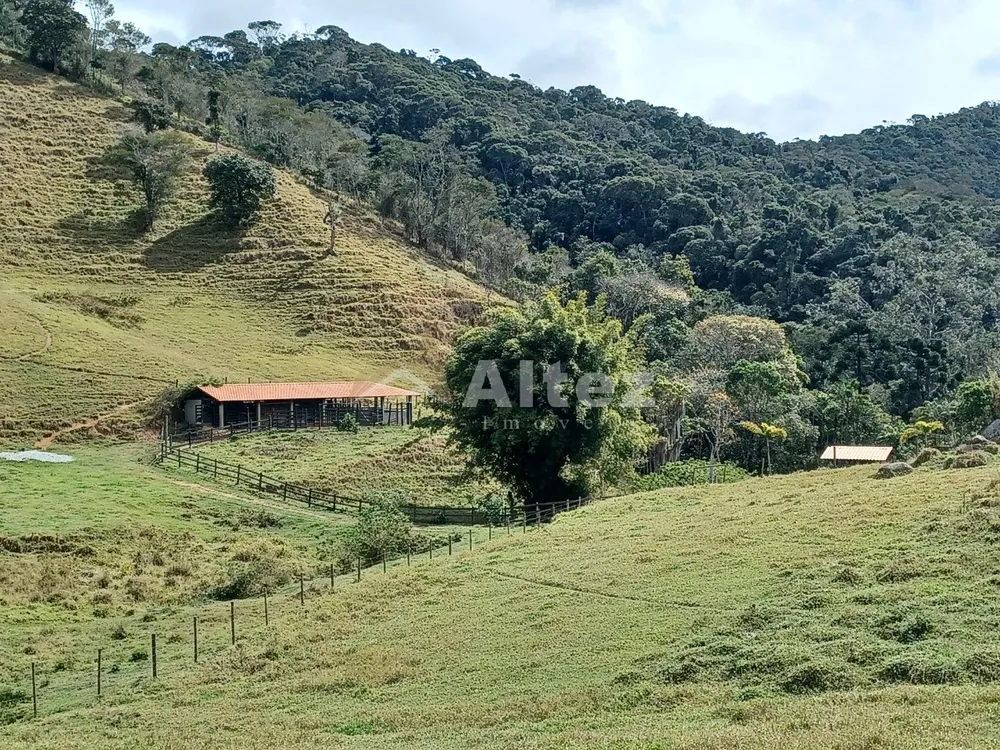 Sítio, 1 quarto, 7 hectares - Foto 13