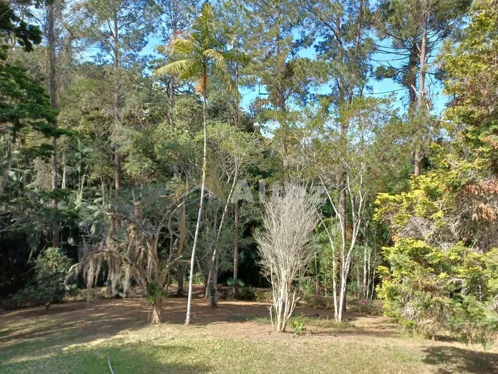Sítio, 5 quartos, 8 hectares - Foto 39