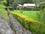 Terreno, 800 m² - Foto 4