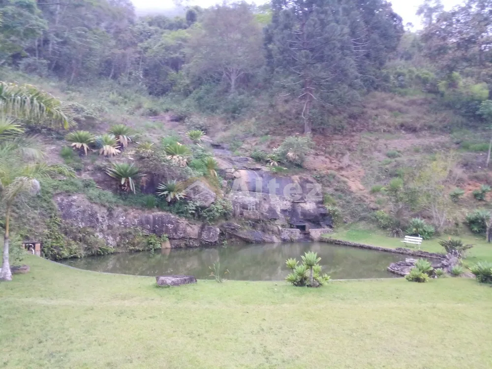 Sítio, 4 quartos, 12 hectares - Foto 6