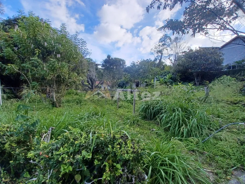Casa, 3 quartos, 2520 m² - Foto 6