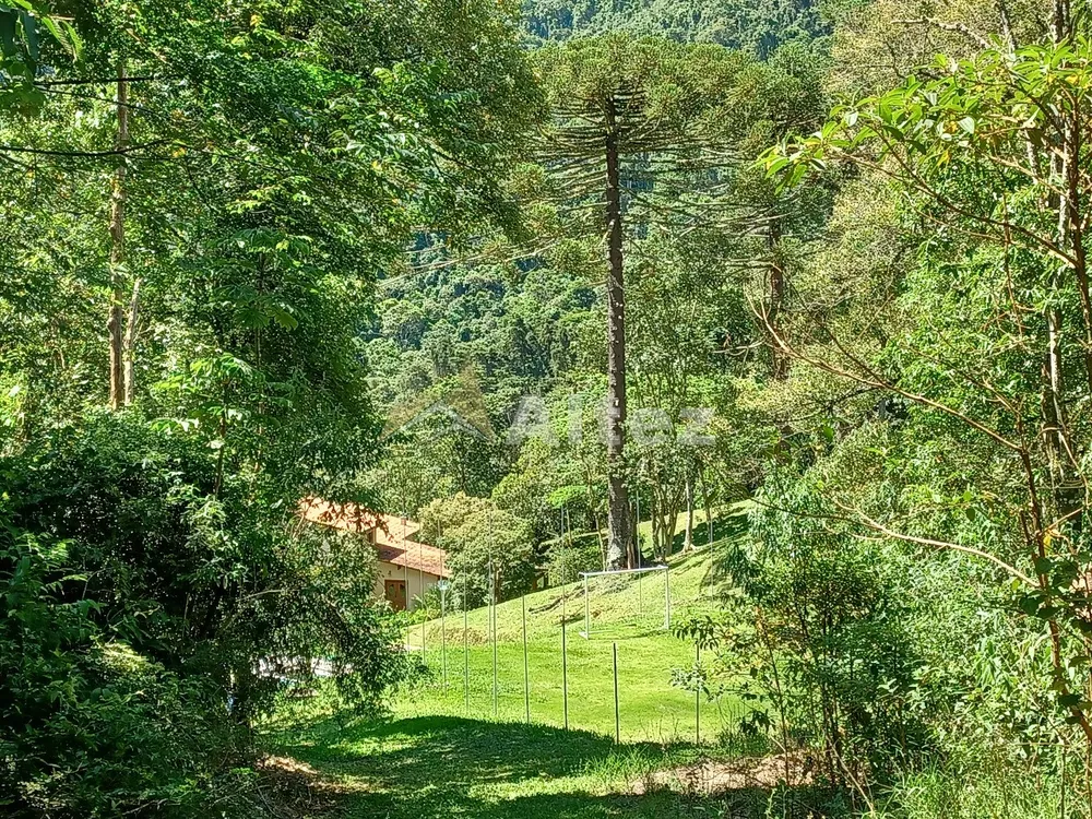 Sítio, 4 quartos, 11 hectares - Foto 50