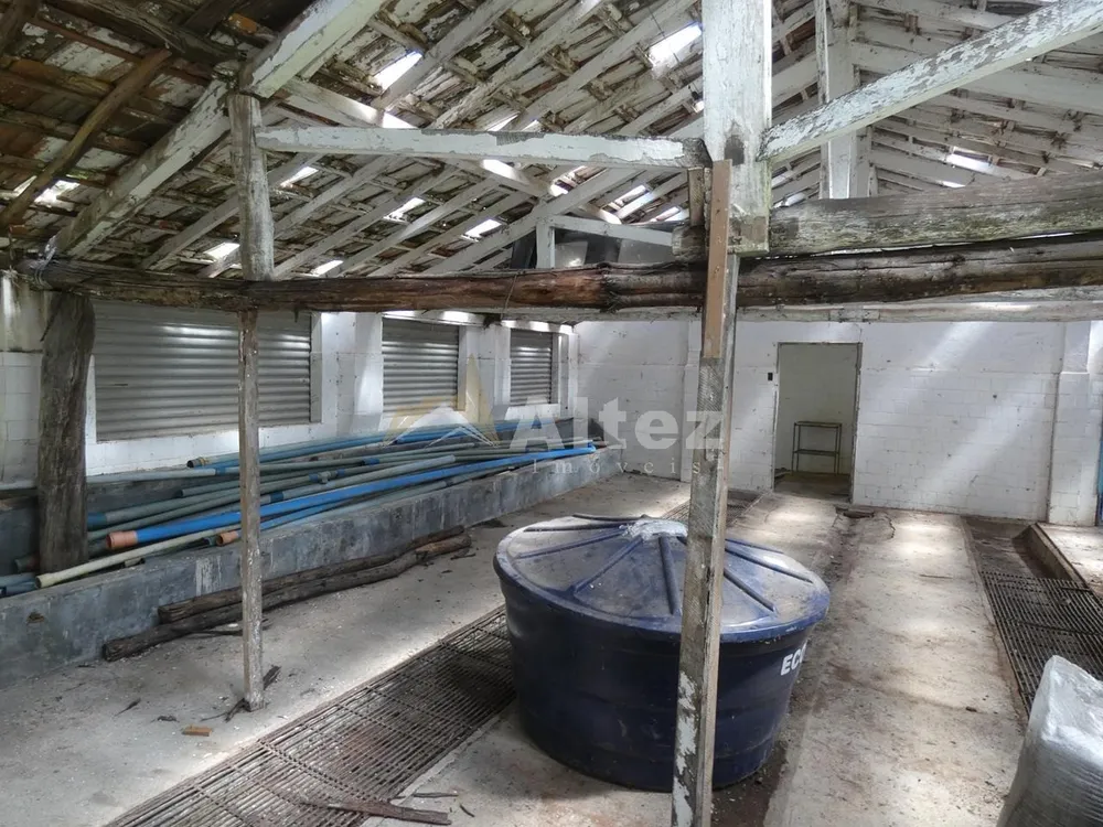 Sítio, 3 quartos, 7 hectares - Foto 23