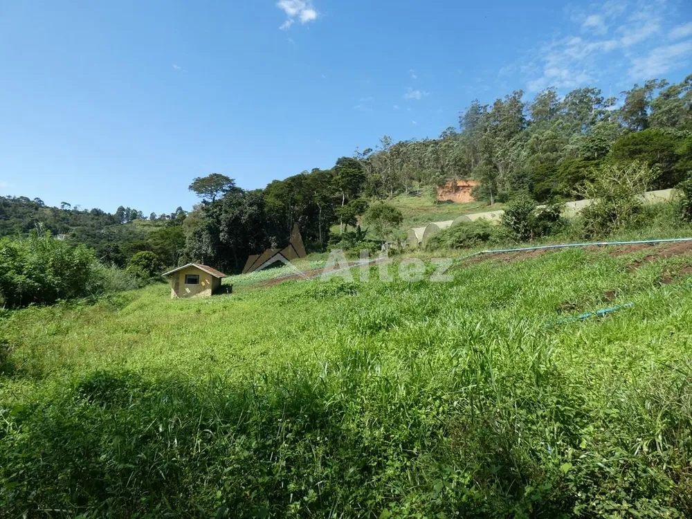 Sítio, 3 quartos, 7 hectares - Foto 13