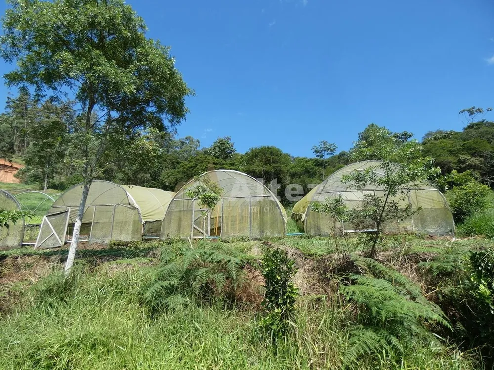 Sítio, 3 quartos, 7 hectares - Foto 14