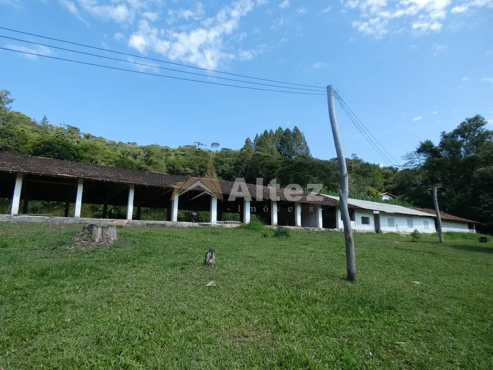 Sítio, 3 quartos, 7 hectares - Foto 11