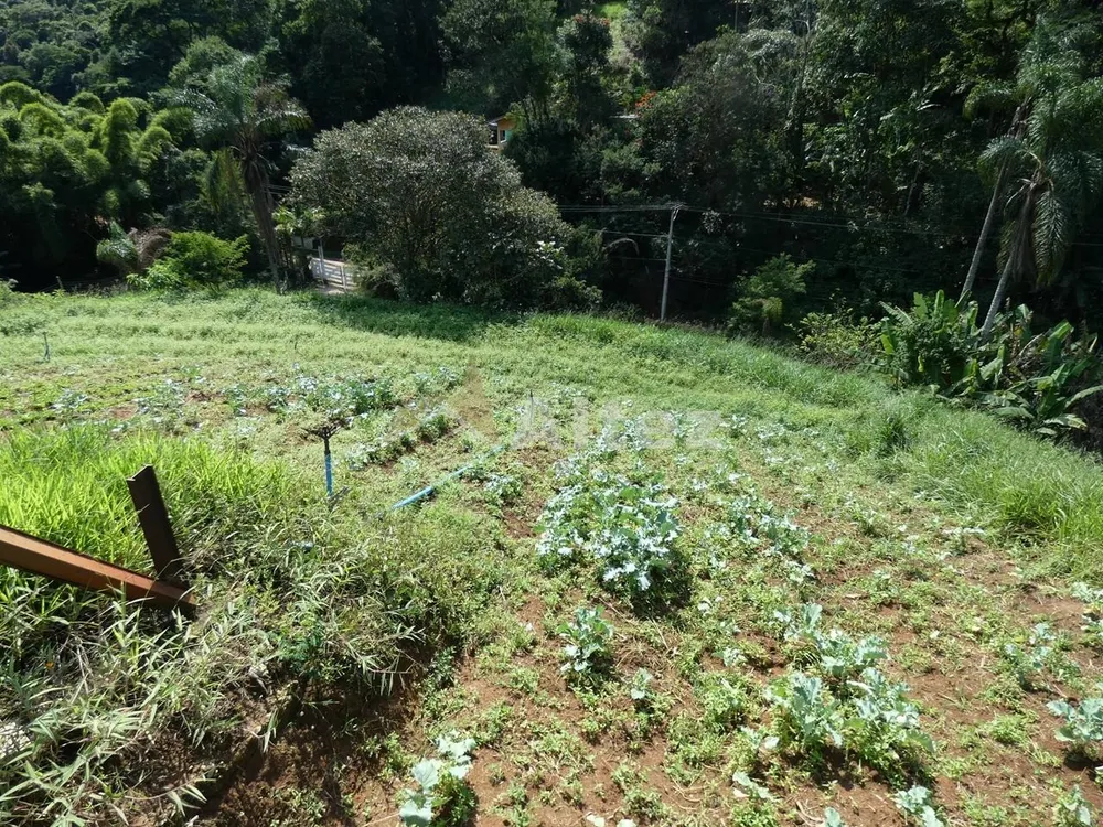 Sítio, 3 quartos, 7 hectares - Foto 39
