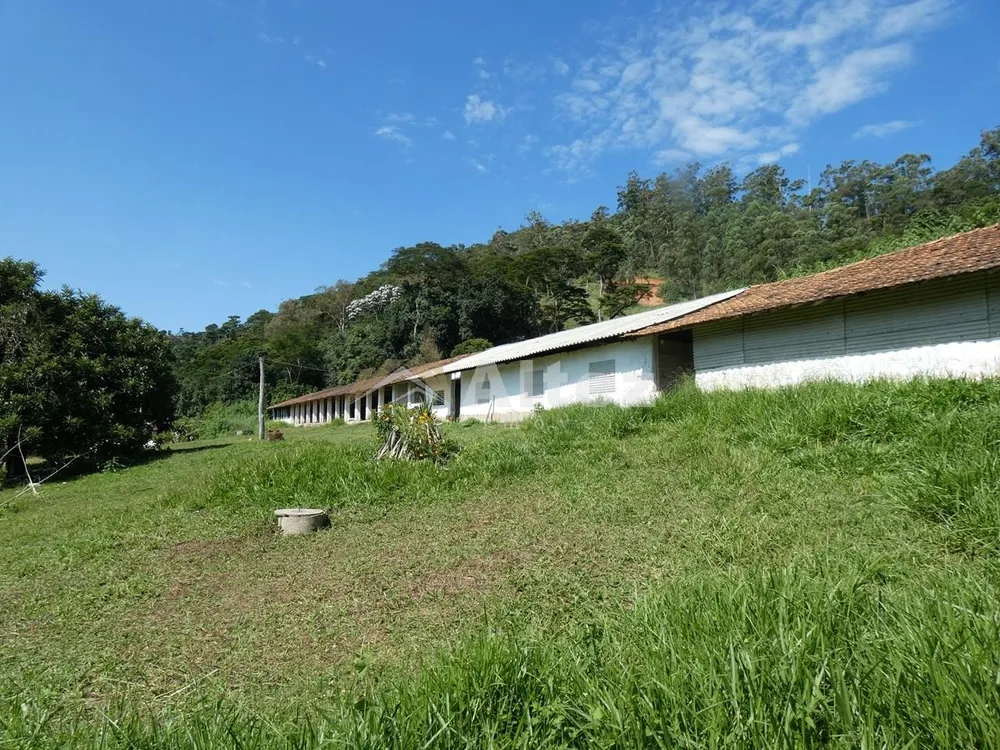 Sítio, 3 quartos, 7 hectares - Foto 10