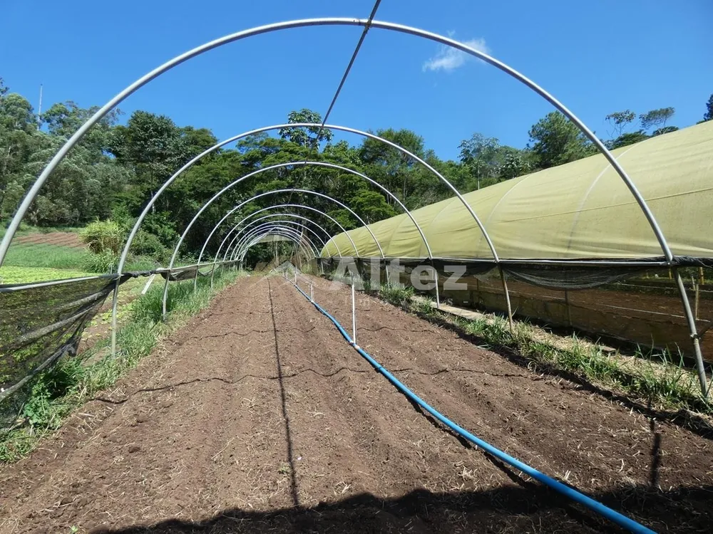 Sítio, 3 quartos, 7 hectares - Foto 15