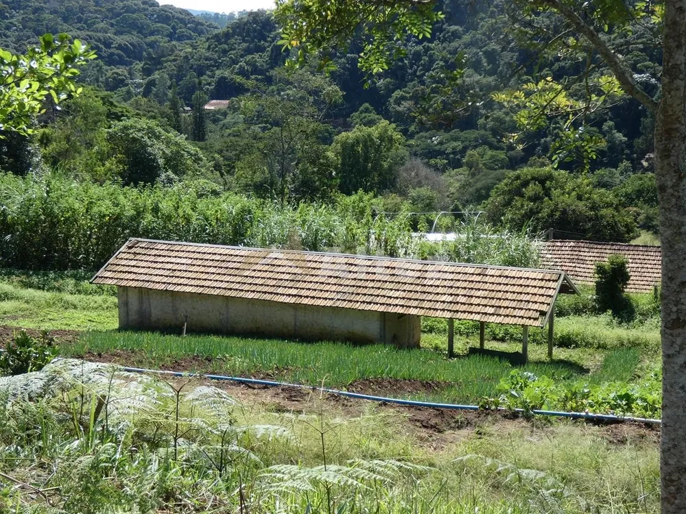 Sítio, 3 quartos, 7 hectares - Foto 19