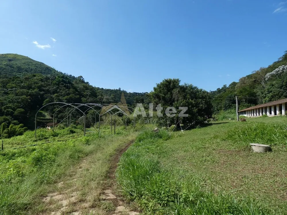 Sítio, 3 quartos, 7 hectares - Foto 12
