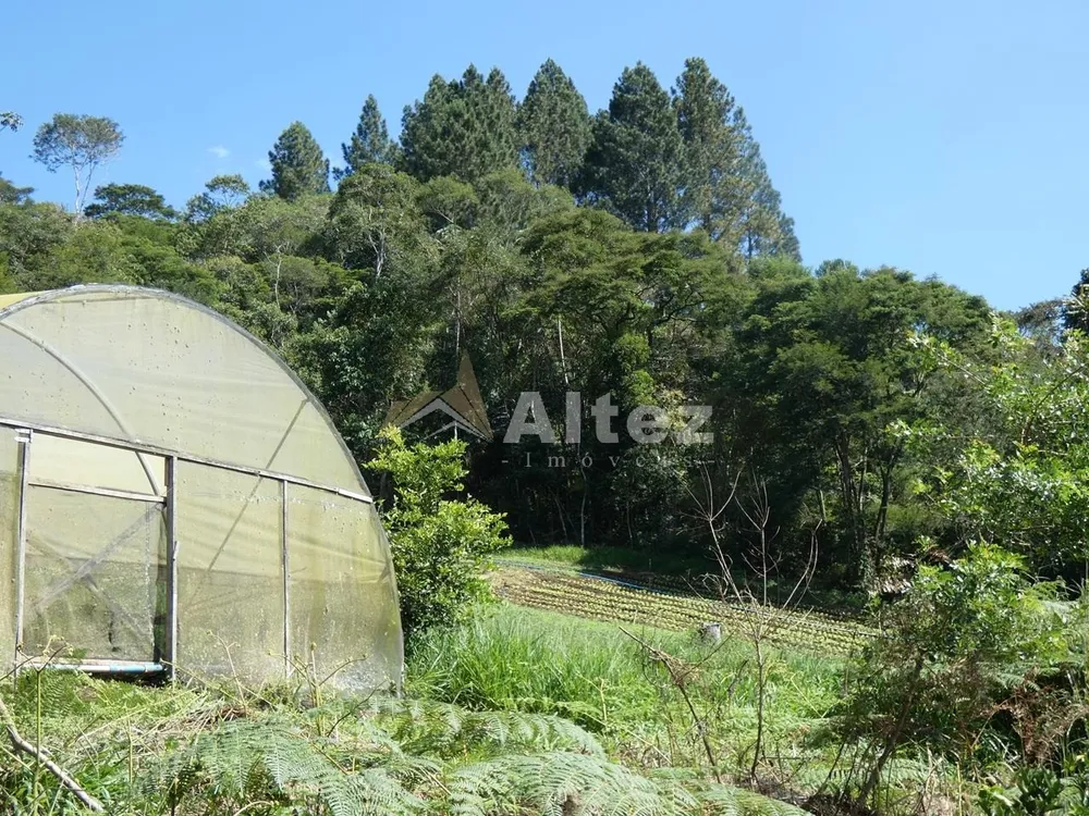 Sítio, 3 quartos, 7 hectares - Foto 20