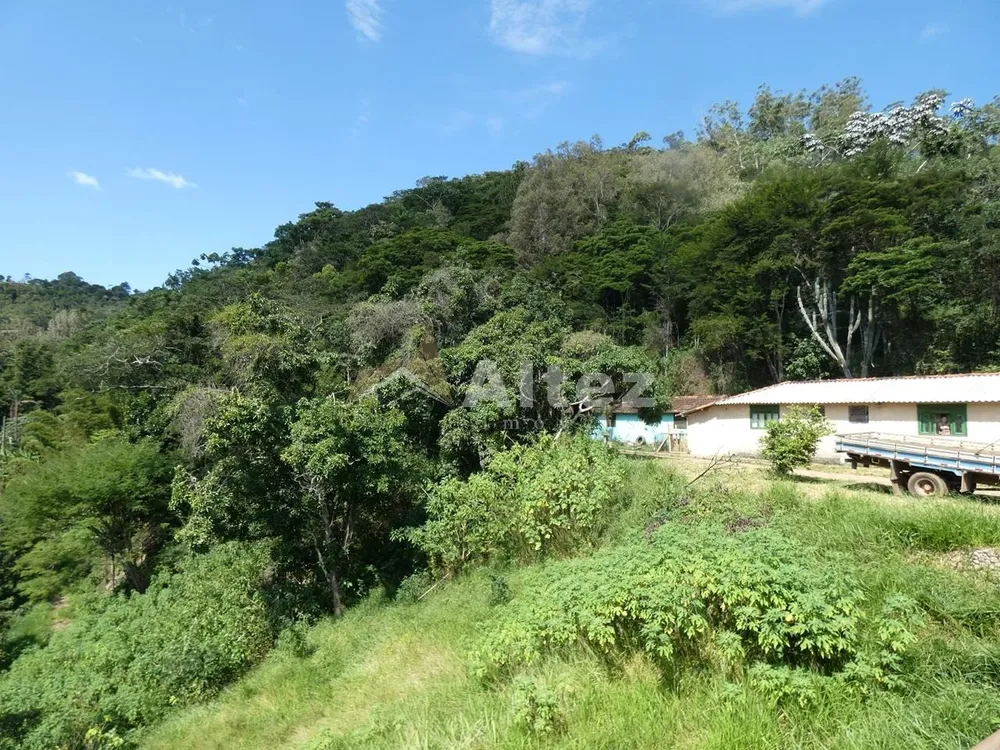 Sítio, 3 quartos, 7 hectares - Foto 37